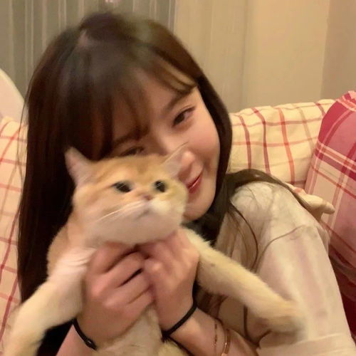 猫系头像女生真人版性冷淡