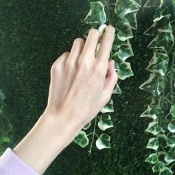 朋友圈背景图片风景唯美高清简单干净的风景图片大全