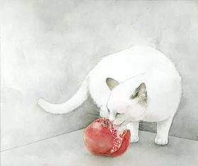 如果有来生,愿做一只猫...