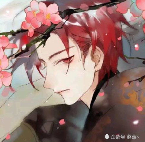 情侣头像捧花黑色系动漫