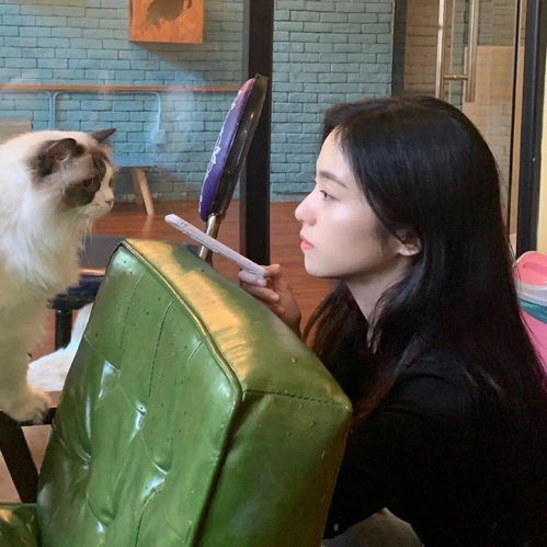 猫系头像女生ai李凯馨