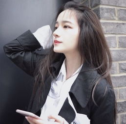 refa是哪个国家的牌子