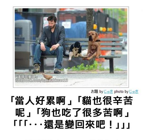 日式冷吐槽最好不要成为空军妹子的前男友
