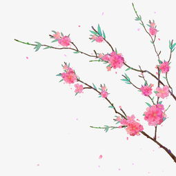 玫粉色卡通手绘花朵图片素材其他格式下载装饰图案大全