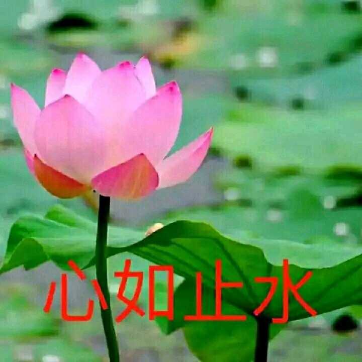 我们也要系列头像