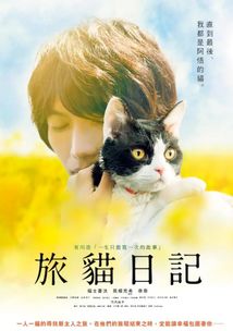 爱猫的正确姿势5部治愈系猫咪电影,猫奴必收藏