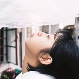 你不会去了,他不会来了,他是走掉的,你是走丢的事情