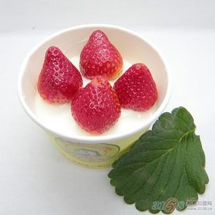 吉客士酸奶系列之草莓酸奶加盟草莓酸奶代理水果酸奶招商