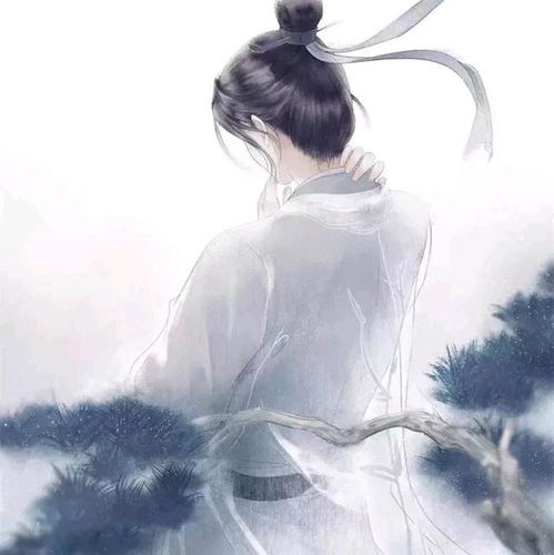 皇后一定是女人吗韩子高和陈文帝表示颜值面前性别不重要