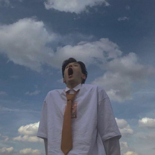 有没有什么小众男头