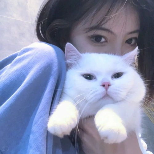 一组猫系女生头像,请签收