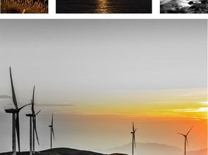 北欧清新系列黑白贝占黄色夕阳风景装饰画图片设计素材高清模板下载150.99mb森林风景装饰画大全