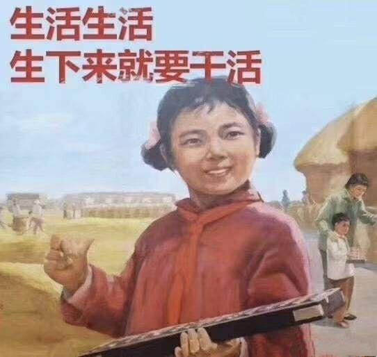 盘点那些搞笑又沙雕高端的瞬间我笑岔气了