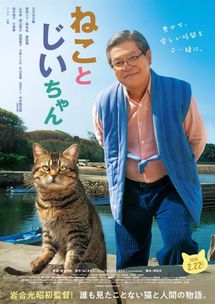 爱猫的正确姿势5部治愈系猫咪电影,猫奴必收藏